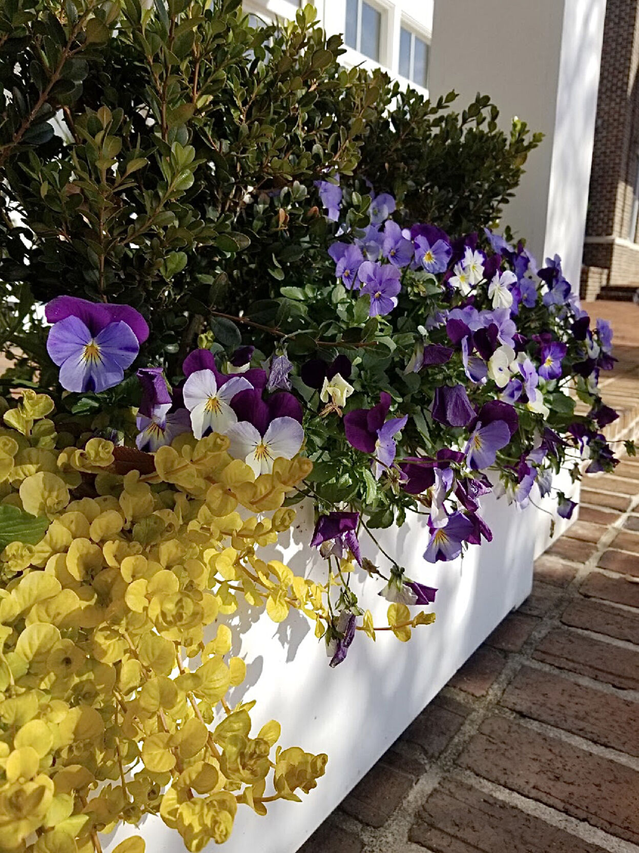 LIFE-HOME-ONGARDENING-1-MCT